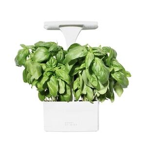 New Short St_ries LED Indoor Planter